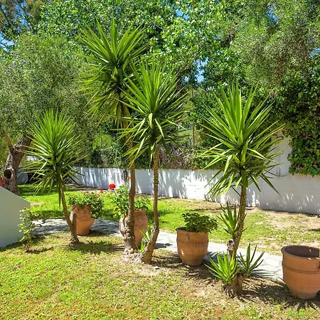 Xenios Faros Apartament